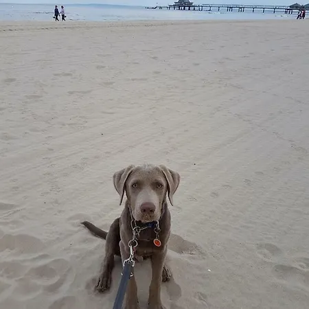 Inge App 12 Apartment Ostseebad Heringsdorf