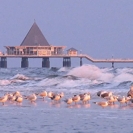 דירה Inge App 12 הרינגסדורף