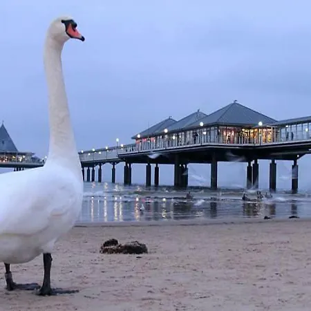 Inge App 12 Apartment